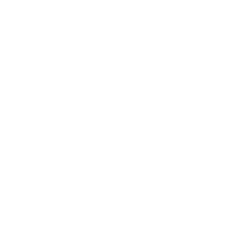 Website of the Year logo